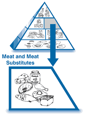 The Food Pyramid, with the meat and meat substitutes section enlarged to show drawings of meat, chicken, fish, eggs, tofu, cheese and peanut butter.