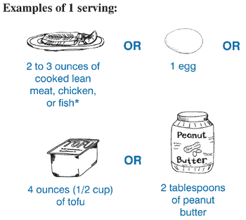 Examples of 1 serving of meat or meat substitute: 2 to 3 ounces of cooked lean meat, chicken, or fish or 1 egg or 4 ounces of tofu or 2 tablespoons of peanut butter.